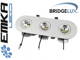 Downlight regulowany LED LA BRIDGELUX COB 3 x 7W Biały dzienny