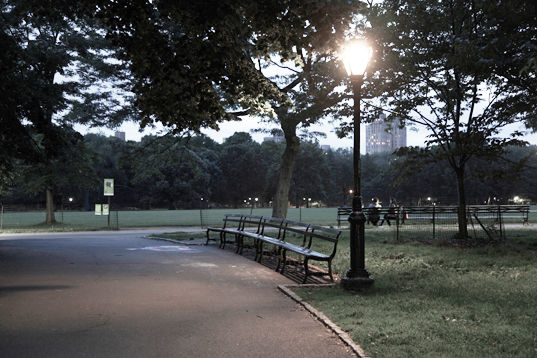 lampy LED w parku